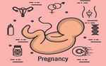 孕早期体重增长过快怎么控制