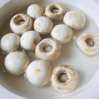 牛奶蘑菇玉米汤