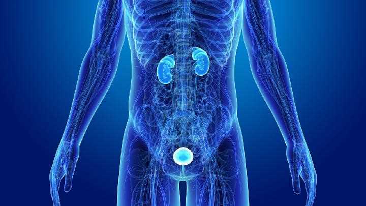 前列腺增生尿频何如办 六款食疗偏方有用改革
