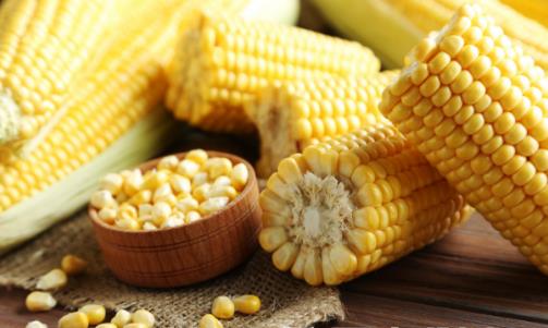 煮玉米的时候加点它 营养美味还能减肥