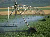 世界上最贵的水，以色列农业滴水寸金