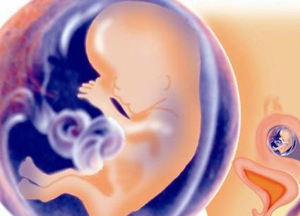 怀孕3个月胎儿成形了吗？需要注意哪些问题？
